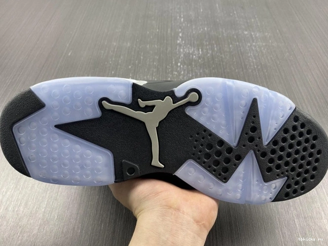 Rep TB Silver Metallic DX2836-001 Jordan Air 6 0824